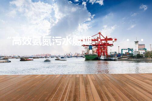 “高效氨氮污水處理，綠色環(huán)保新篇章”